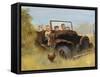 Rusty Car-Dianne Dengel-Framed Stretched Canvas