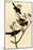 Rusty Crow Blackbird-John James Audubon-Mounted Art Print