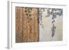Rusty Door and Grapevine-Josep Cisquella-Framed Art Print