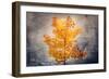 Rusty Fall-Philippe Sainte-Laudy-Framed Giclee Print