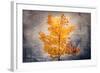 Rusty Fall-Philippe Sainte-Laudy-Framed Giclee Print