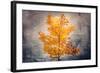 Rusty Fall-Philippe Sainte-Laudy-Framed Giclee Print