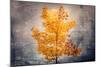 Rusty Fall-Philippe Sainte-Laudy-Mounted Giclee Print