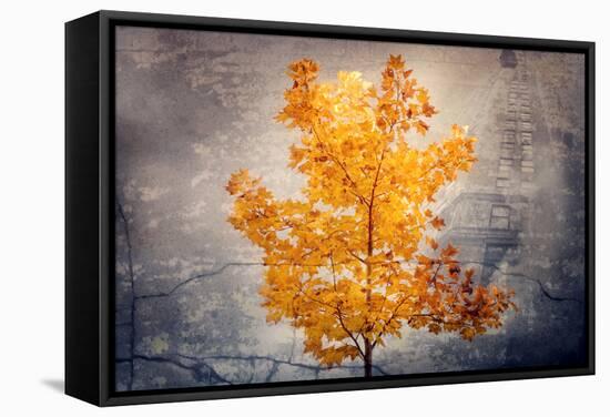 Rusty Fall-Philippe Sainte-Laudy-Framed Stretched Canvas