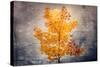 Rusty Fall-Philippe Sainte-Laudy-Stretched Canvas