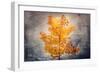 Rusty Fall-Philippe Sainte-Laudy-Framed Art Print