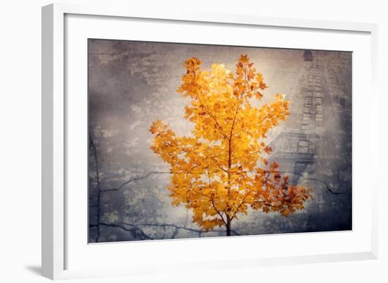 Rusty Fall-Philippe Sainte-Laudy-Framed Art Print