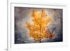 Rusty Fall-Philippe Sainte-Laudy-Framed Giclee Print