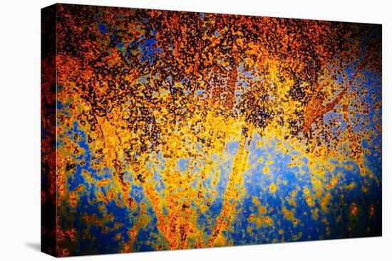 Rusty Fall-Ursula Abresch-Stretched Canvas