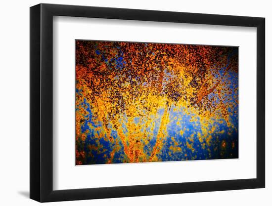 Rusty Fall-Ursula Abresch-Framed Photographic Print