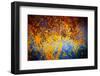 Rusty Fall-Ursula Abresch-Framed Photographic Print