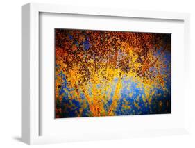 Rusty Fall-Ursula Abresch-Framed Photographic Print