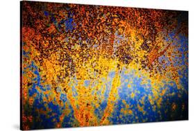 Rusty Fall-Ursula Abresch-Stretched Canvas