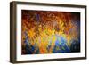 Rusty Fall-Ursula Abresch-Framed Photographic Print