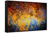 Rusty Fall-Ursula Abresch-Framed Stretched Canvas