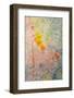 Rusty Flowers-Ursula Abresch-Framed Photographic Print