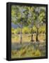 Essential Black
