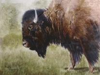 Buffalo-Rusty Frentner-Giclee Print