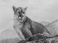 Just the Print