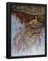 Essential Black