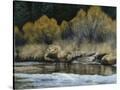 Stretched Canvas
