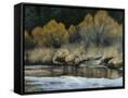 Canvas Black