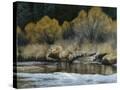 Stretched Canvas