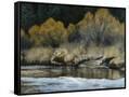 Canvas Black