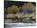 Stretched Canvas