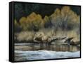 Canvas Black