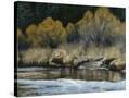 Stretched Canvas