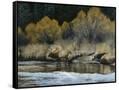 Canvas Black