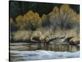 Stretched Canvas
