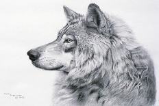 White Wolves by Birch-Rusty Frentner-Giclee Print