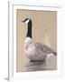 Gramercy White