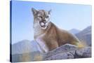 Stretched Canvas