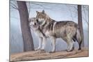 Wood Mount