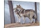Stretched Canvas