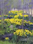 Yellow Flowers-Rusty Frentner-Giclee Print