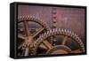 Rusty Gears II-Kathy Mahan-Framed Stretched Canvas