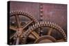 Rusty Gears II-Kathy Mahan-Stretched Canvas