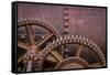 Rusty Gears II-Kathy Mahan-Framed Stretched Canvas