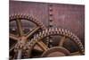 Rusty Gears II-Kathy Mahan-Mounted Photographic Print