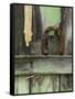 Rusty Horseshoe on Old Fence, Montana, USA-Nancy Rotenberg-Framed Stretched Canvas