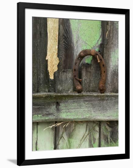 Rusty Horseshoe on Old Fence, Montana, USA-Nancy Rotenberg-Framed Photographic Print