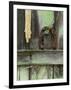 Rusty Horseshoe on Old Fence, Montana, USA-Nancy Rotenberg-Framed Photographic Print