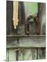 Rusty Horseshoe on Old Fence, Montana, USA-Nancy Rotenberg-Mounted Photographic Print