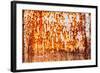 Rusty Iron Wall-smuay-Framed Art Print