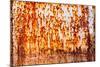 Rusty Iron Wall-smuay-Mounted Art Print