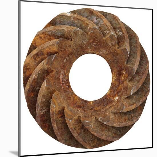 Rusty Large Spiral Gear-Retroplanet-Mounted Giclee Print